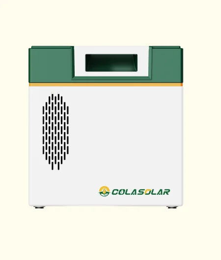 cola2000 1